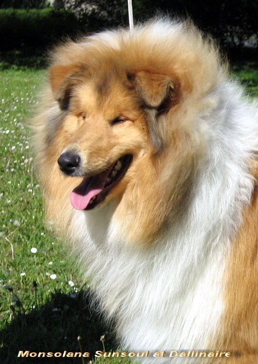 Sunson-8.months