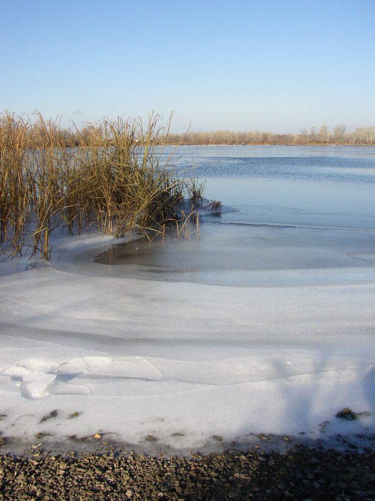 10 ноября 2007 г. Берег льда