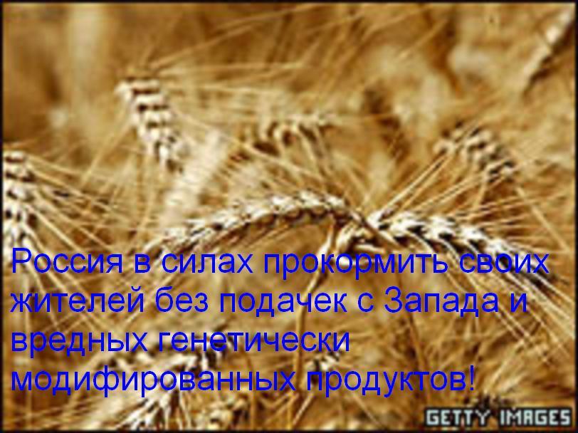 http://s1.imgdb.ru/2007-10/31/-43994675-wheat2_qsabyegz.jpg